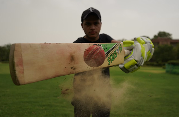 Cricket